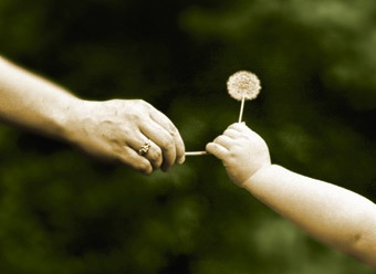 6a00d8341c3e6353ef015390f7c166970b-800wi